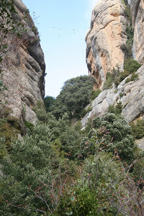 Barranco de acceso