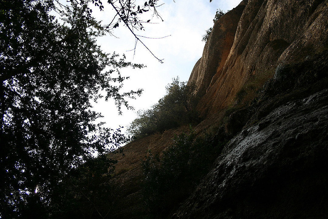 Zona sombría del barranco