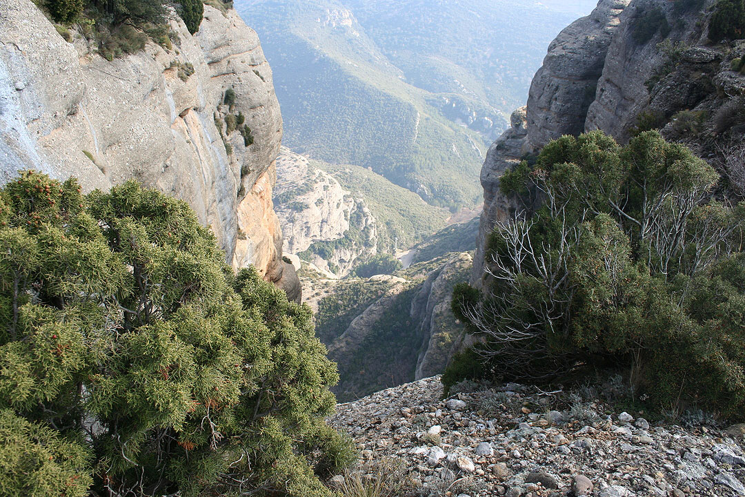 Inicio del descenso del barranco