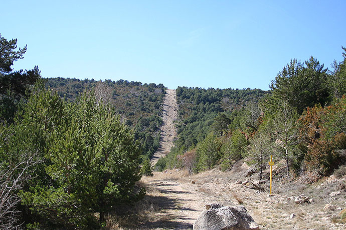 Monte que atraviesa el Gasoducto