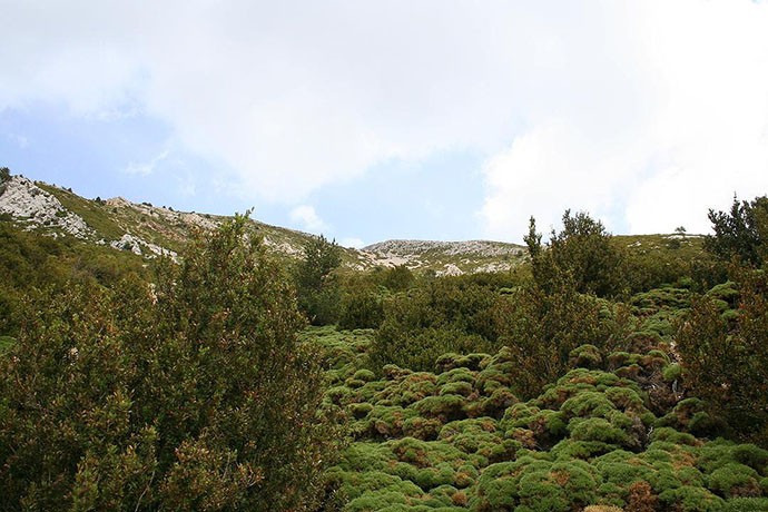 Vista del Tozal al fondo