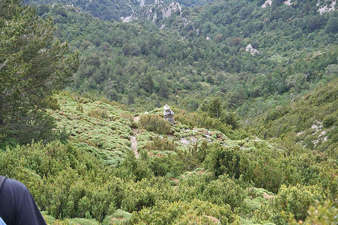 El Barranco de Abadejo