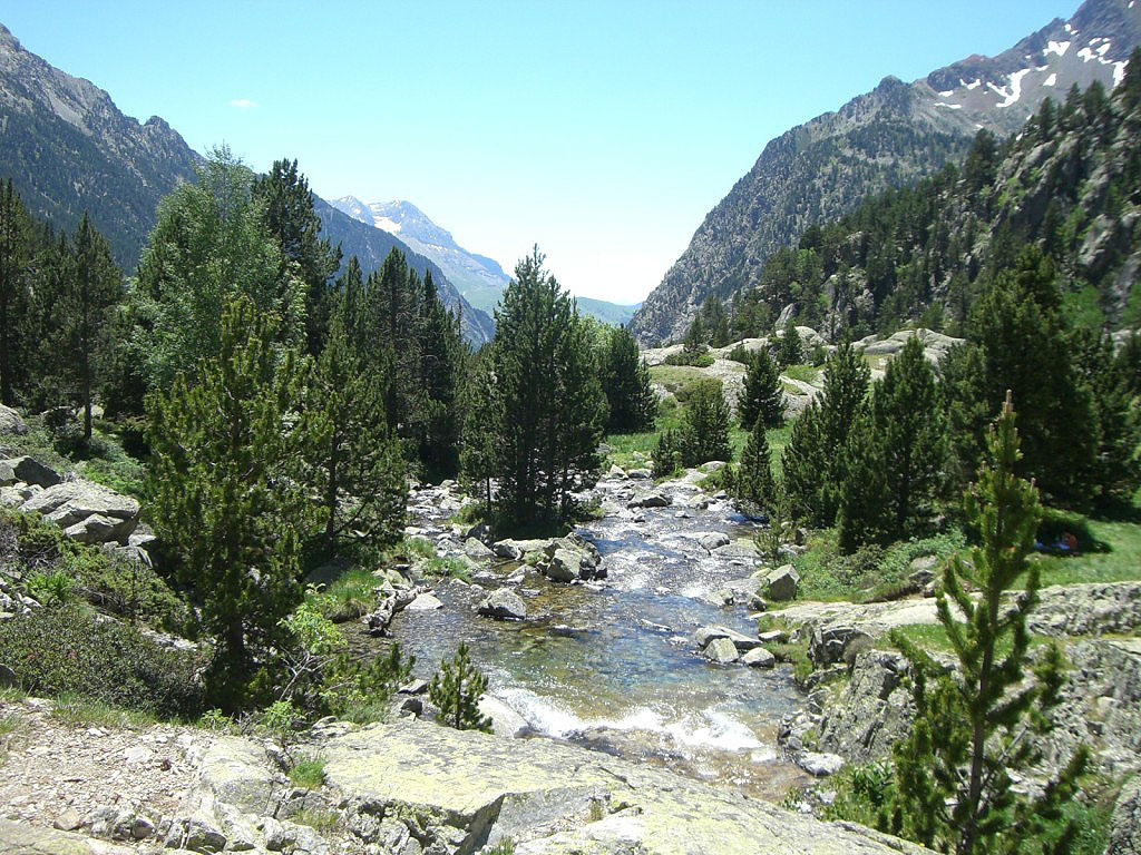 Llano Bozuelo