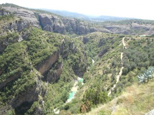 Badinas del Vero