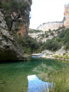 Badina Pesquero