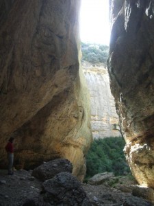gorgas san julian 008 225x300 Propuesta de actividades para el 23 de abril.Día de San Jorge