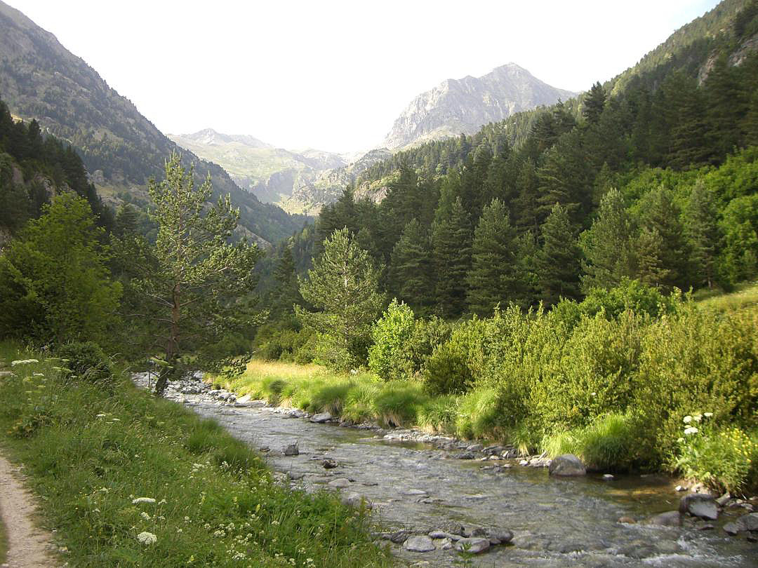 Río Aguas Límpias