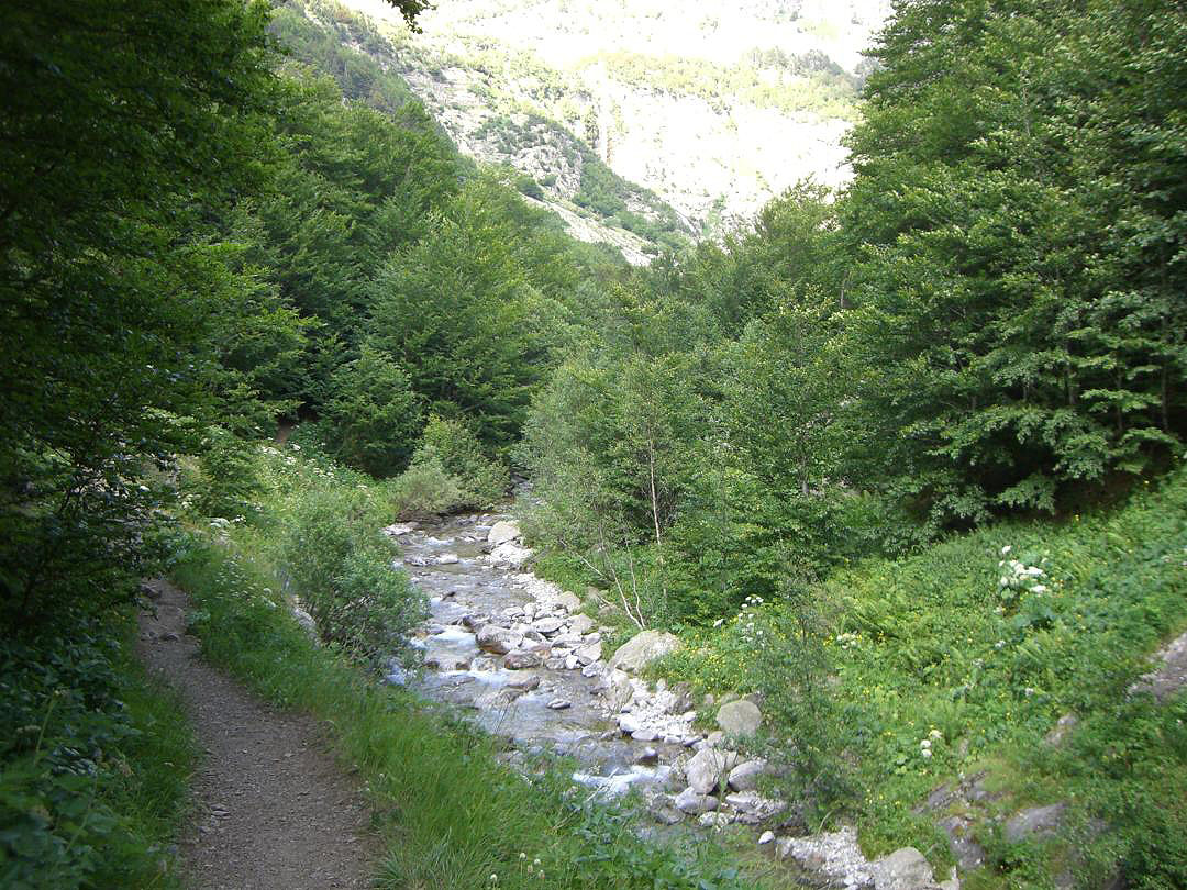 Llano Cheto