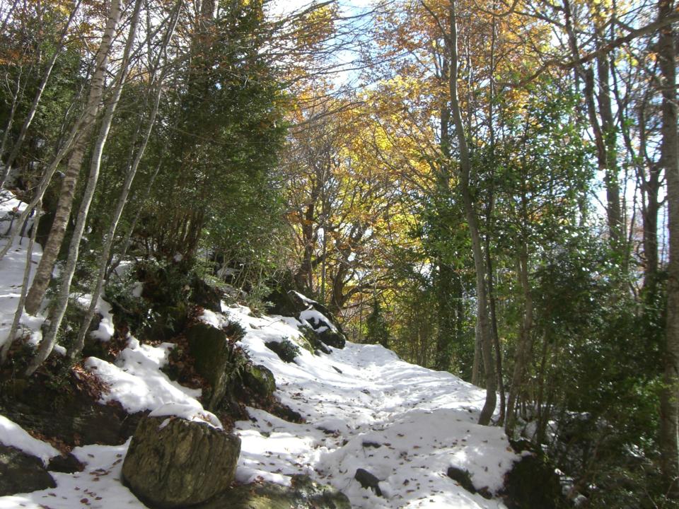 Senda de la ascensión