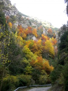 Otoño en Añisclo