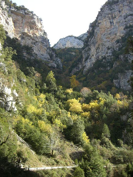 Cañon de Añisclo