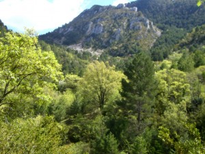 Sierra de Santo Domingo