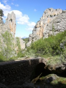 Puente
