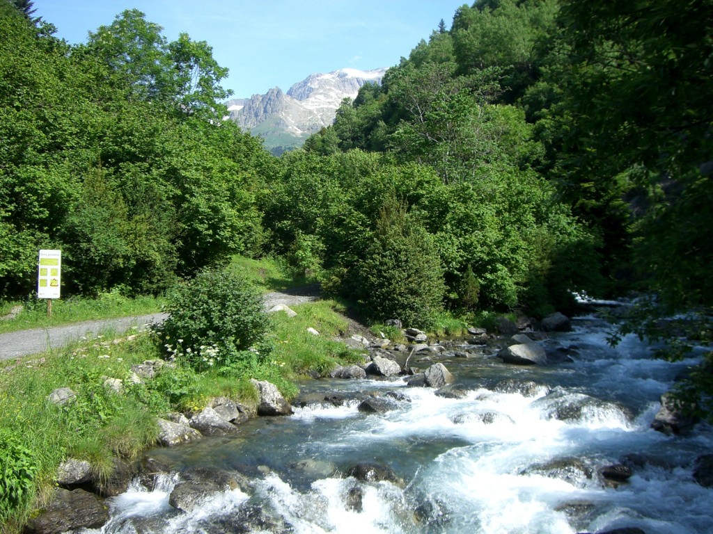 Cruce palanca río Estos