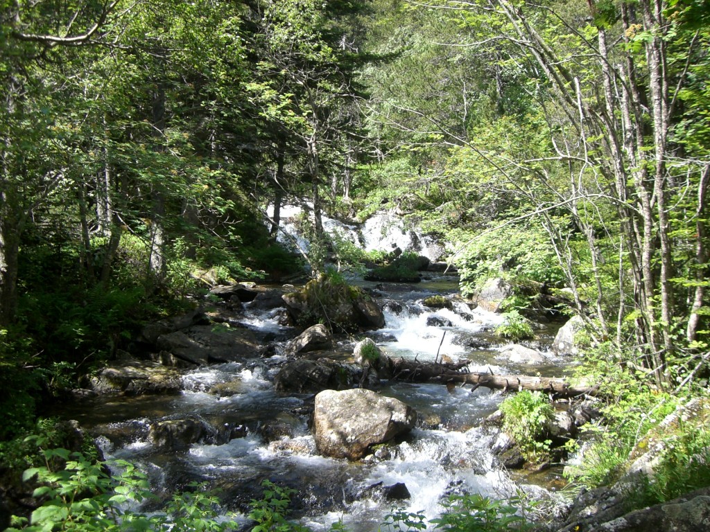 Barranco de Batisielles