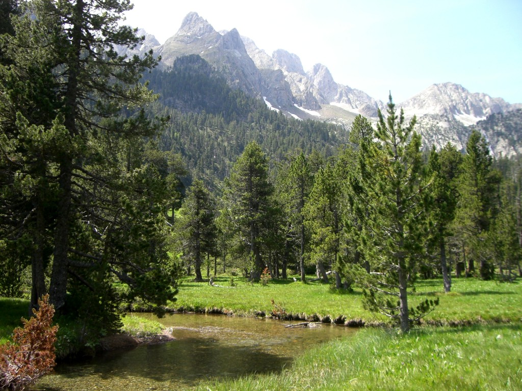 Llanos de Batisielles