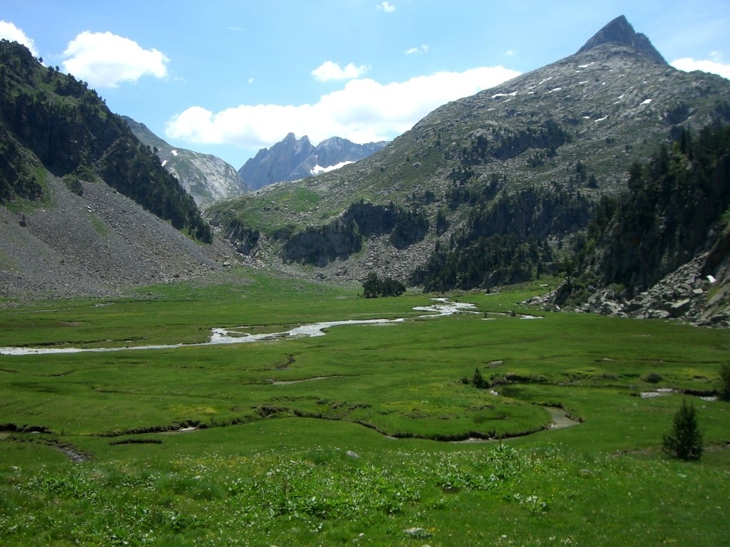 Pradera del plan de Aiguallut