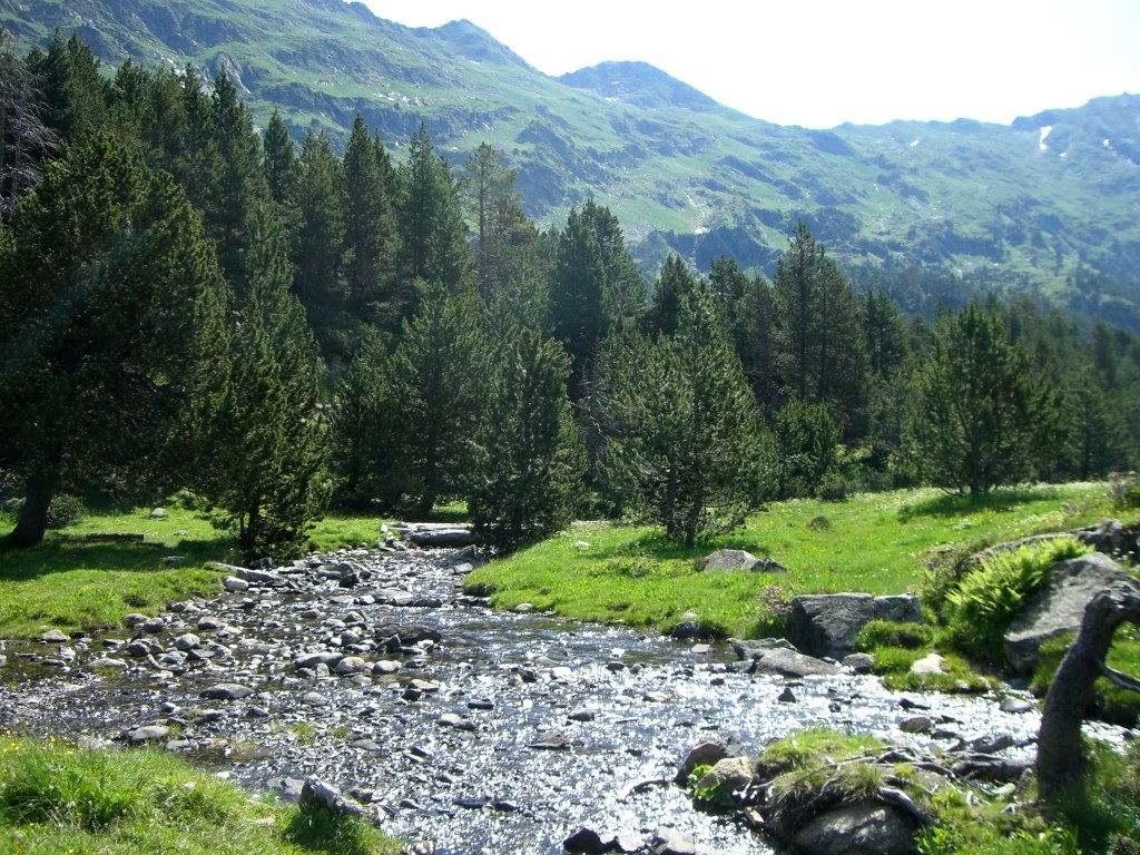 Llanos de La Besurta