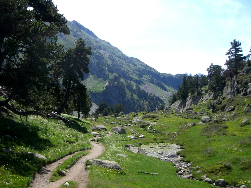 Sendero ascensión