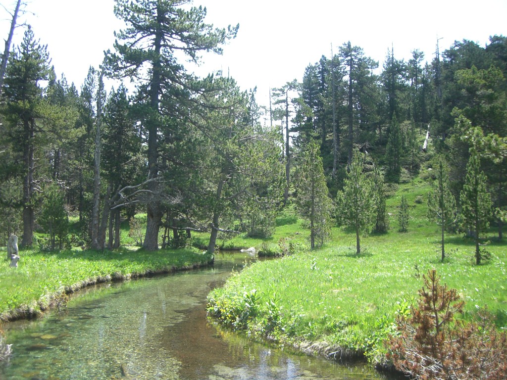 Pradera de Batisielles