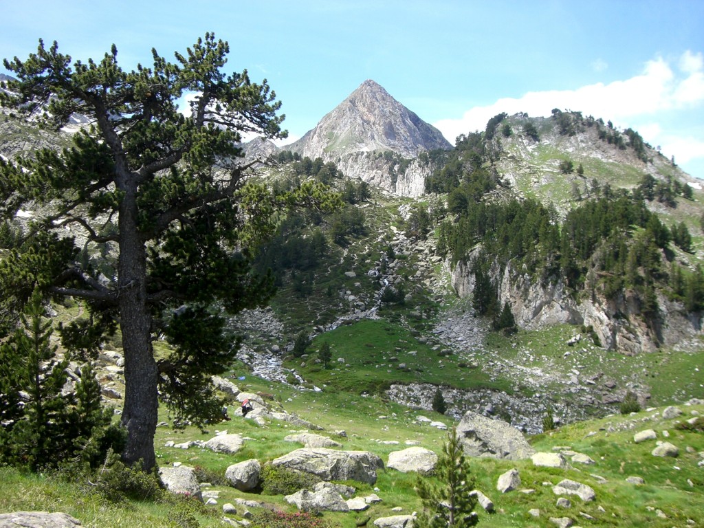 Tuca de Paderna y Torrente de Alba