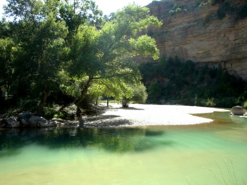 Fuente de Tamara