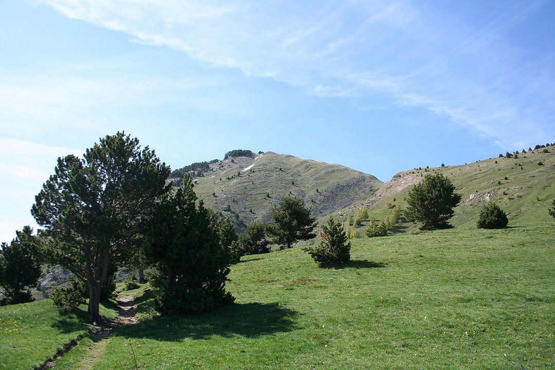 Vista del pico Pacino