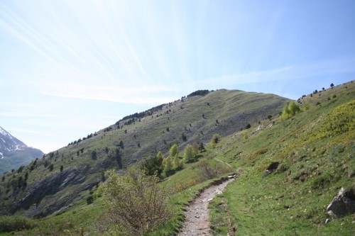 Senda de acceso al collado