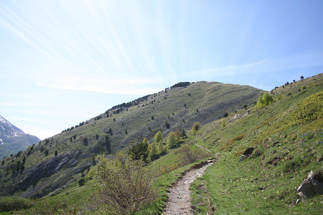 Senda de acceso al collado