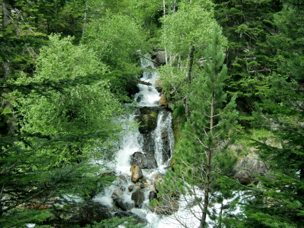 Desembocadura del barranco de Aiguapases en el río Esera