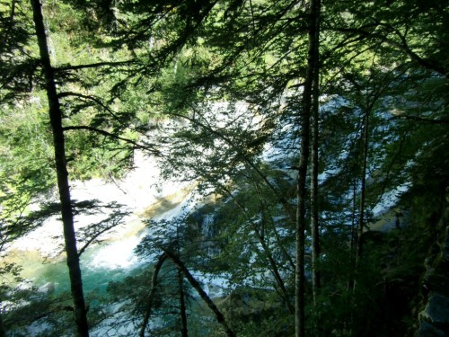 4 Cascada de los Abetos 500x375 De Torla a la pradera de Ordesa por el camino de Turieto