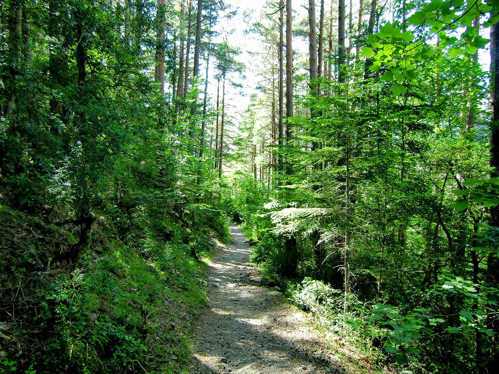 Camino de Turieto