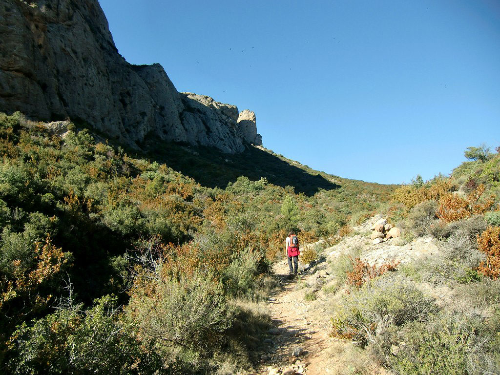 Sendero de ascensión