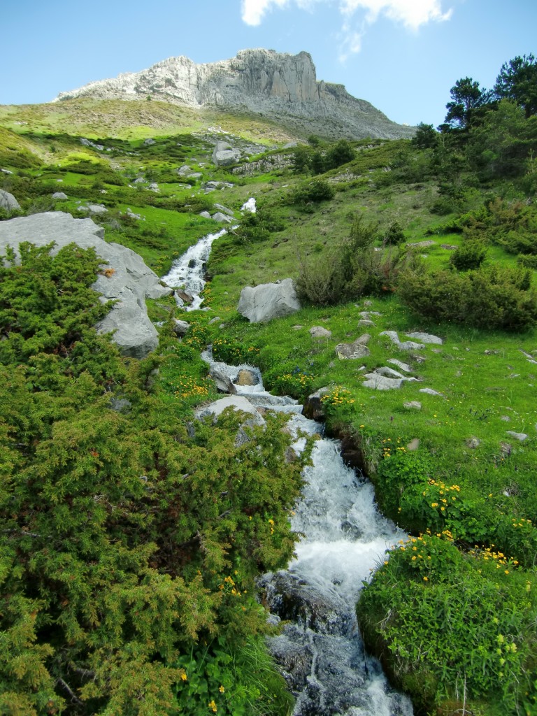 Fuentes de Rigüelo