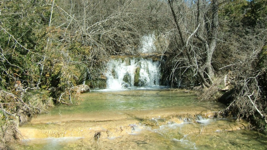 Abellada (15)