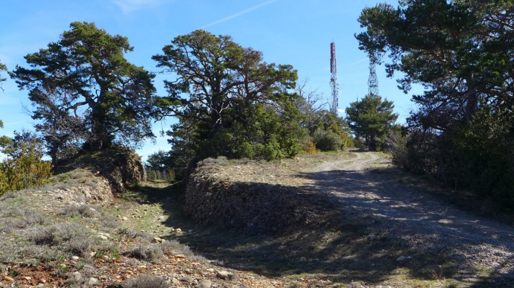 San Juan de la Peña (5)