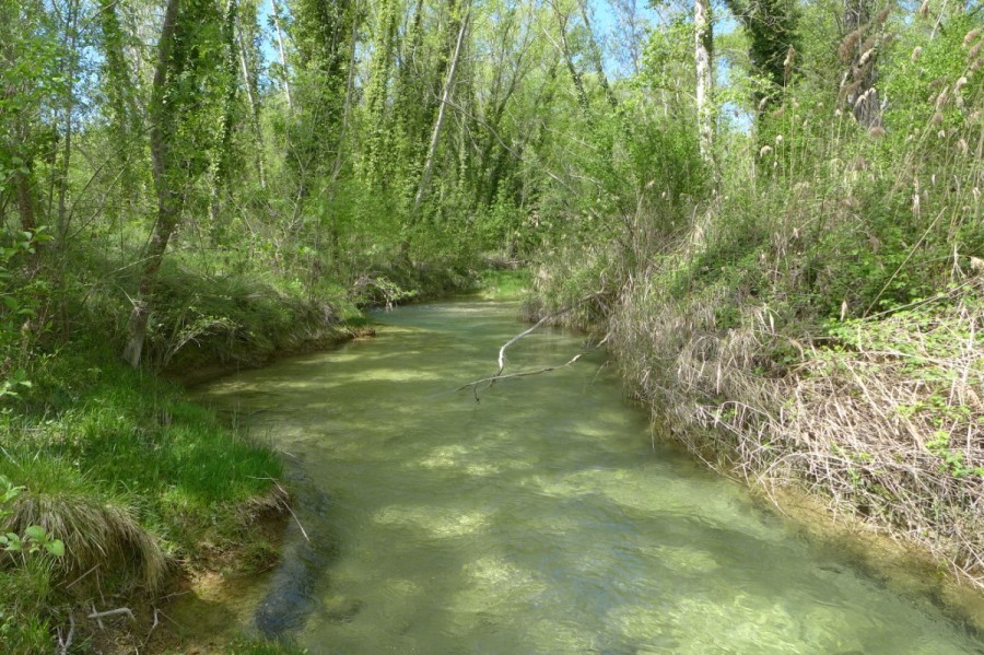 El río Vero