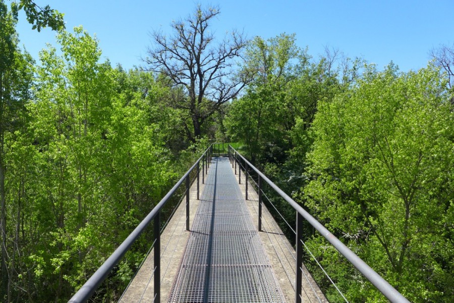 Azudes de Pozan (22)