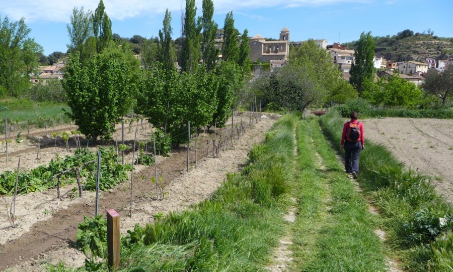 Huerta de Pozán de Vero