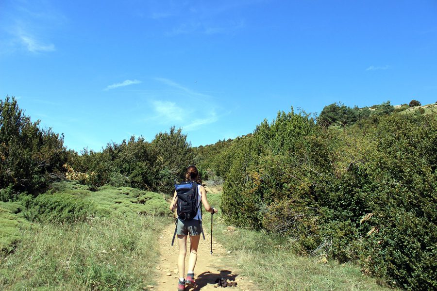 Caminando hacia la Cruz