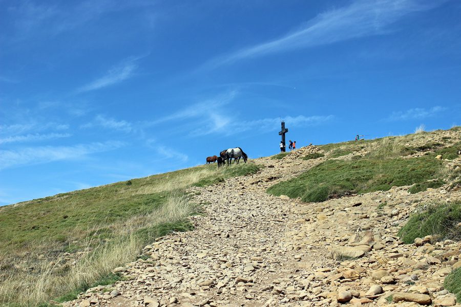 Cruz y caballos al fondo