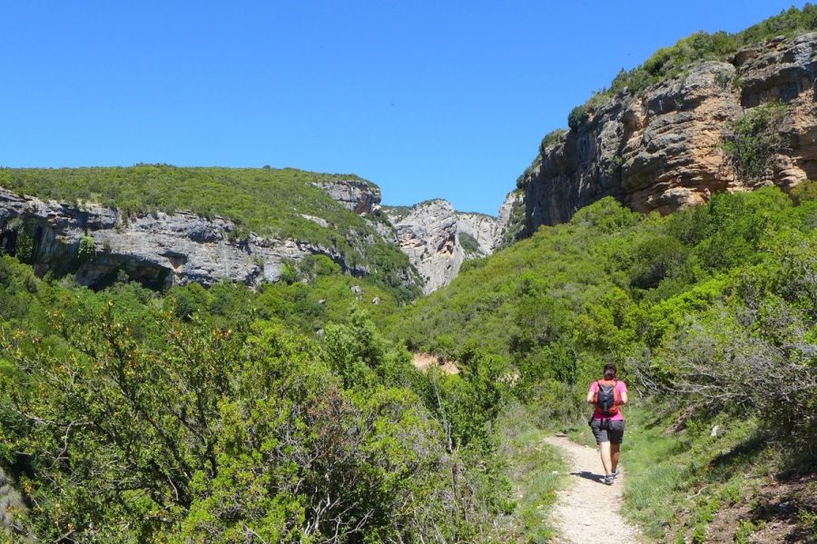 Sendero en dirección hacia la Cueva de Las Polvorosas