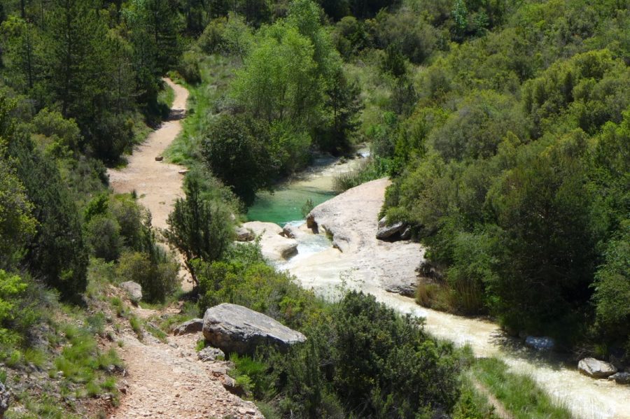 Senda de ascensión hacia la Cueva de las Polvorosas