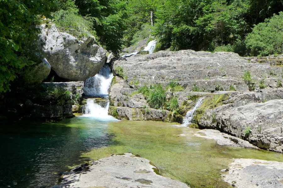 Cascadas aguas abajo de la surgencia