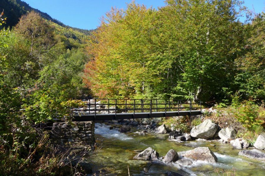 Pasarela metálica sobre el río Salenques