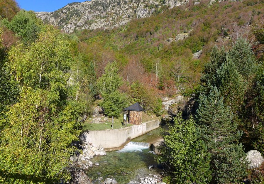 Estación de aforo del Barranco de Salenques