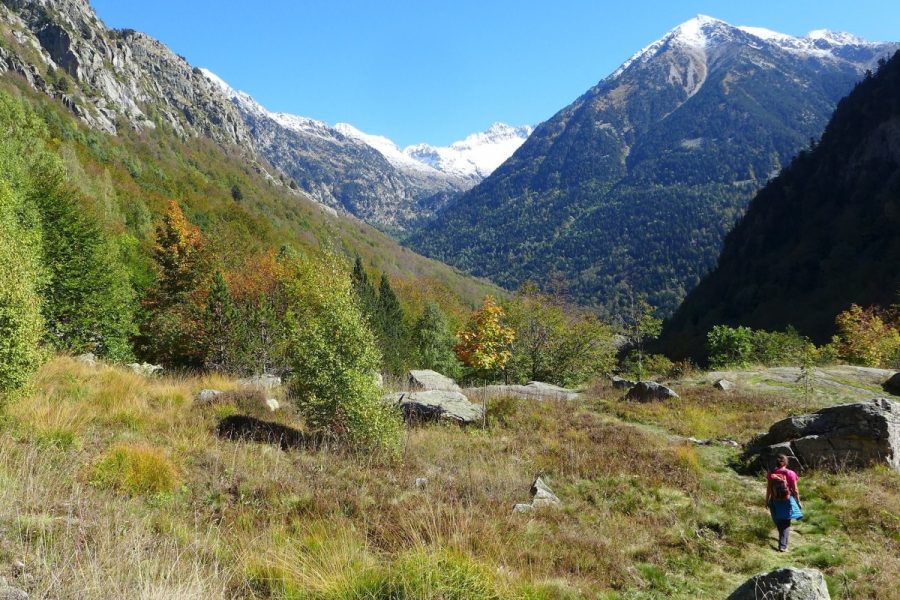 Camino de la Solana de Salenques