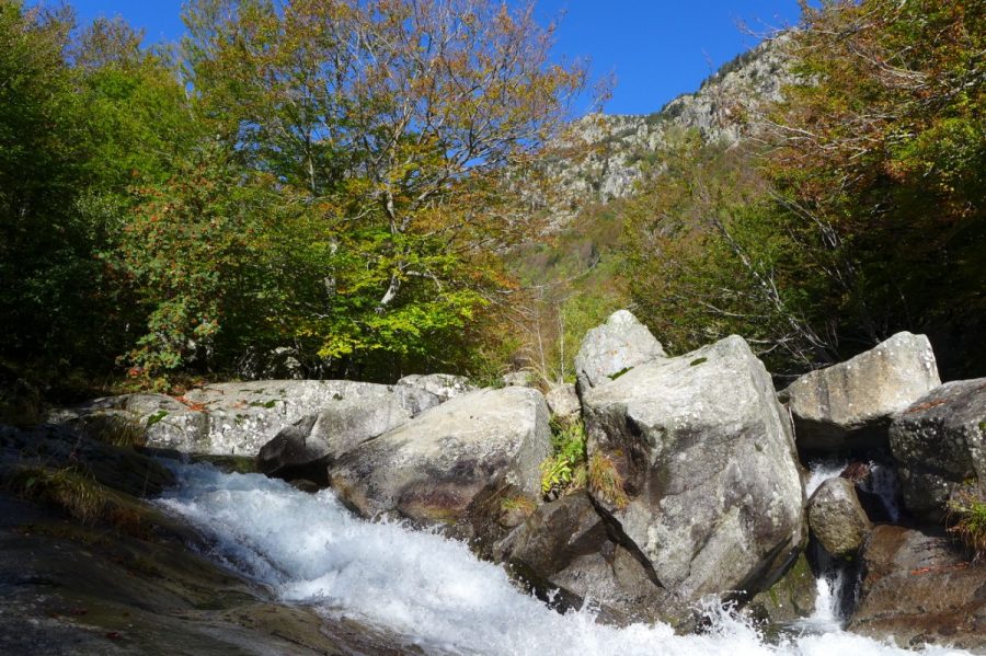 Barranco de Salenques