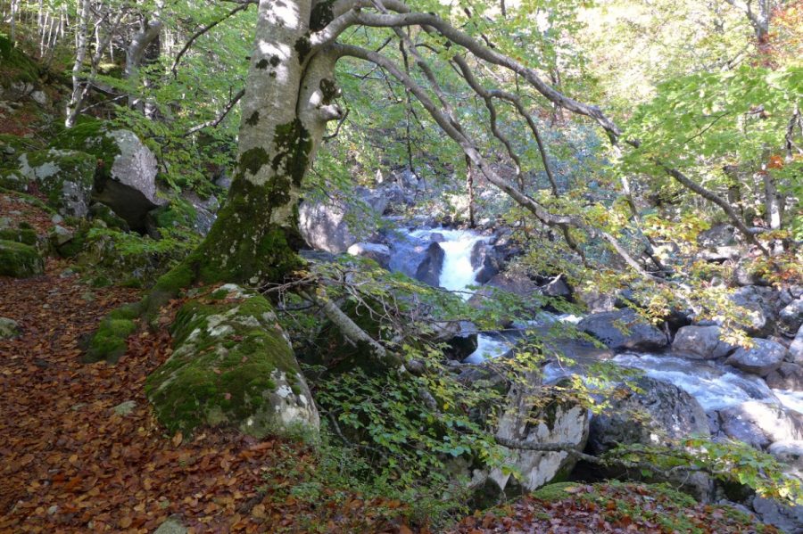 Sendero junto al Barranco de Salenques