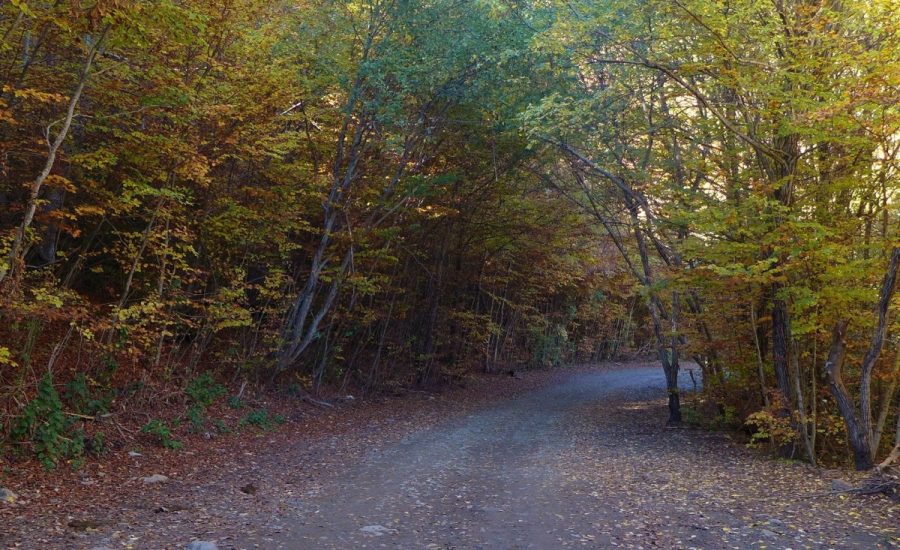 Camino del Betato, de Piedrafita de Jaca a Tramacastilla de Tena